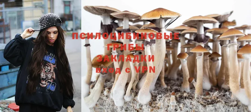 Псилоцибиновые грибы Psilocybine cubensis  Неман 